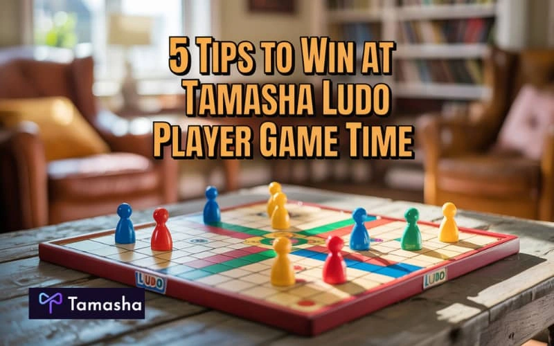 ludo player game