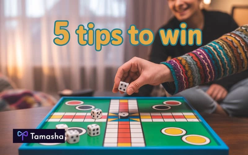 ludo player game