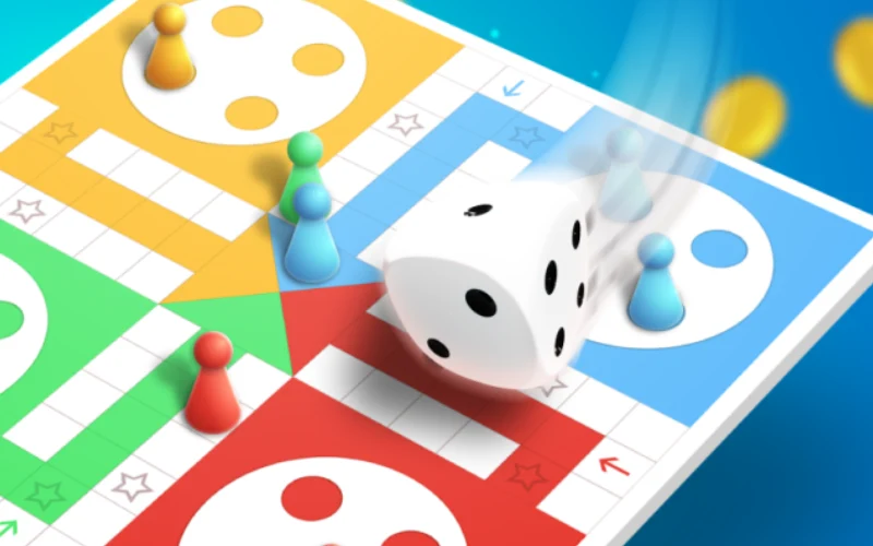 rajasthan ludo at tamasha body image